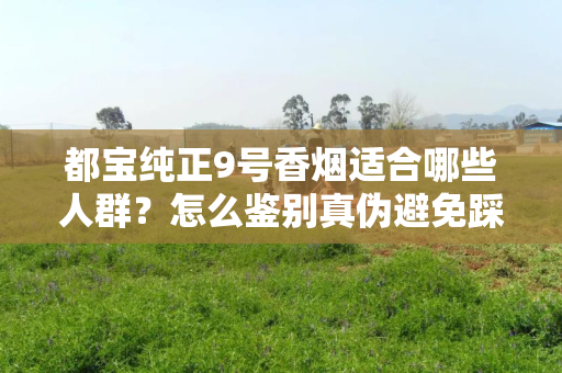 都宝纯正9号香烟适合哪些人群？怎么鉴别真伪避免踩坑？